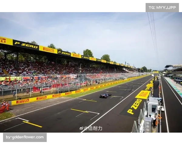 意大利蒙扎站诺里斯夺冠 高速赛道迈凯伦赛车显优势